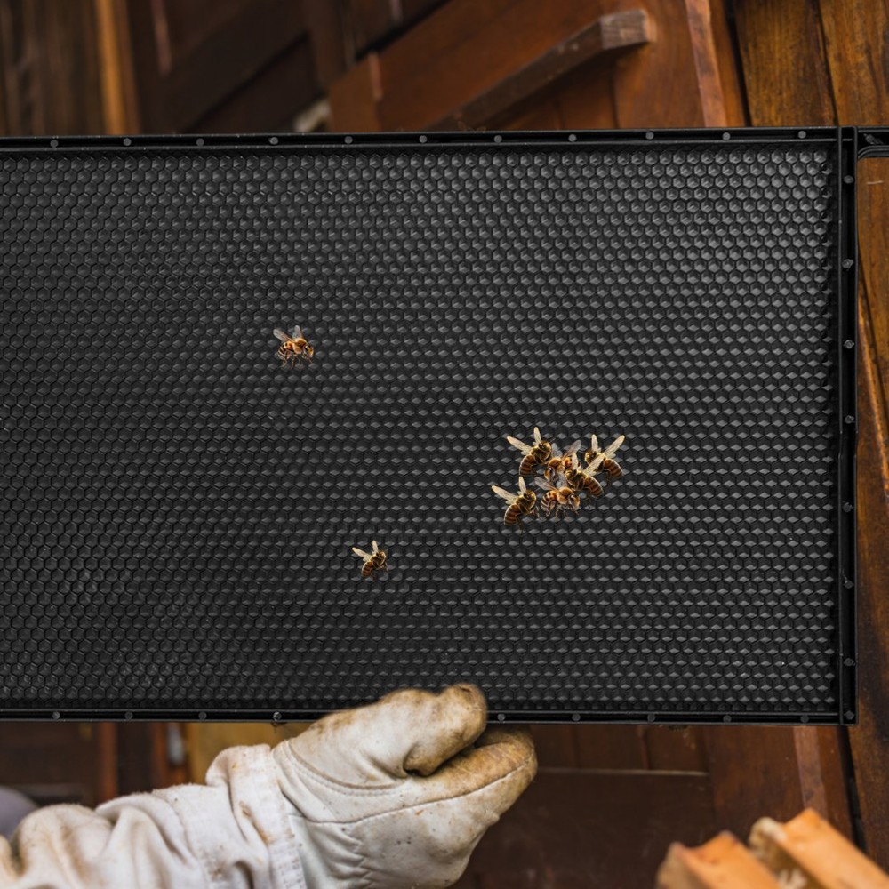 Beehive Frame with Black ABS Plastic and Wax Foundation for Beekeeping Use