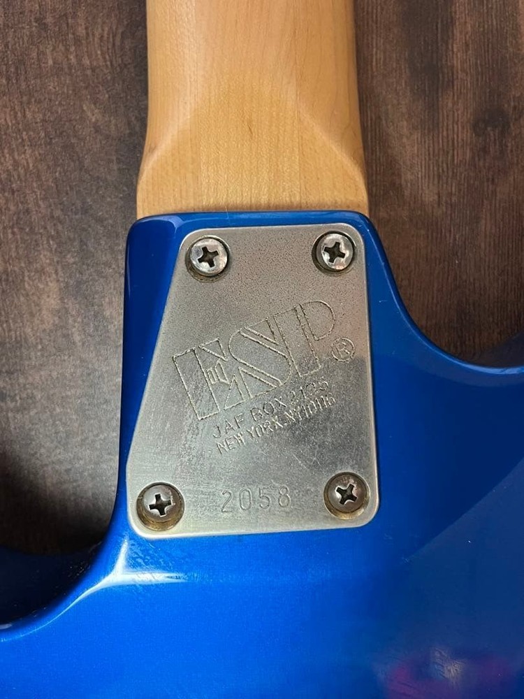 ESP Guitar Gig Bag Strap Safe Packing!