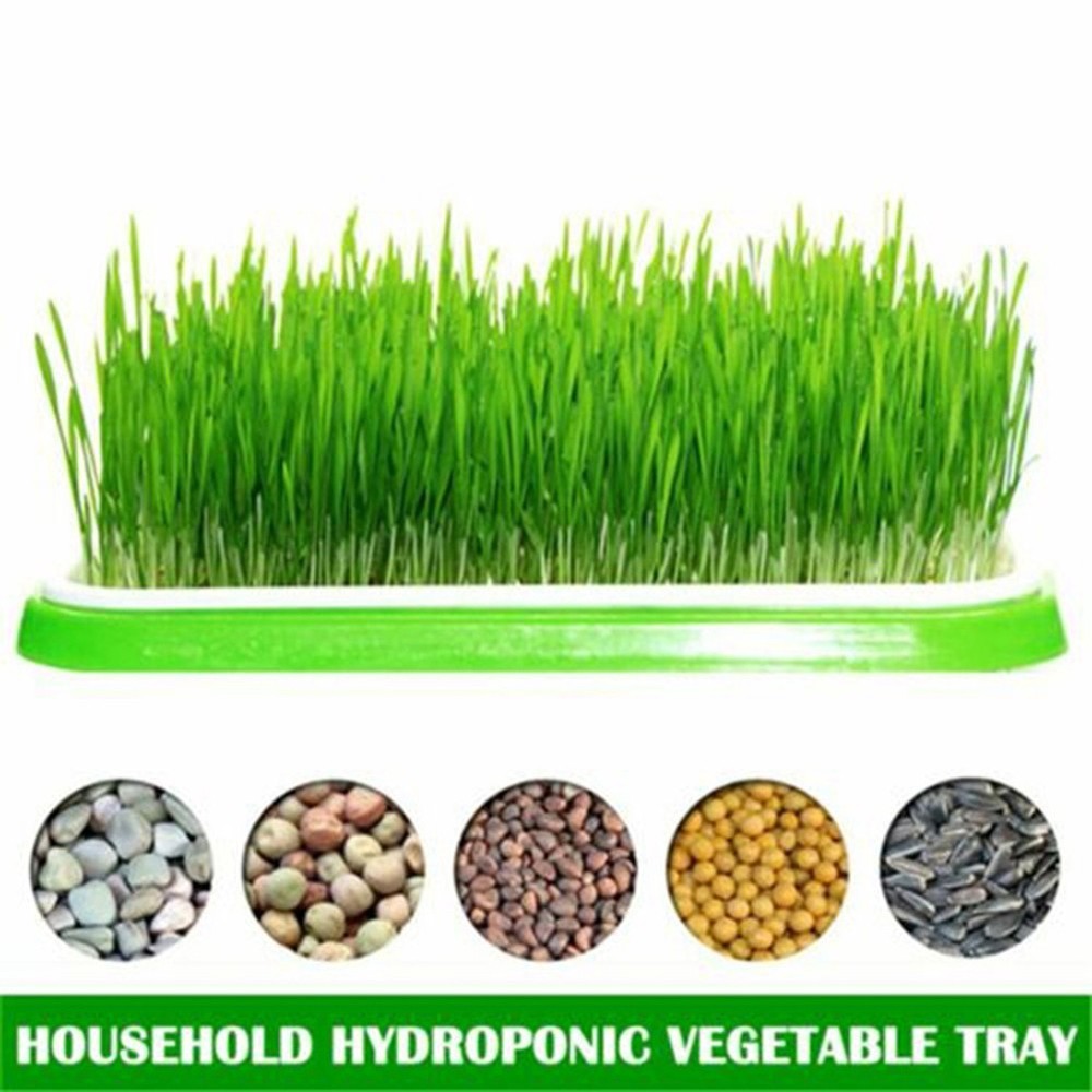 Nursery Pots Double Layer Germination Greenhouse Hydroponics Microgreens