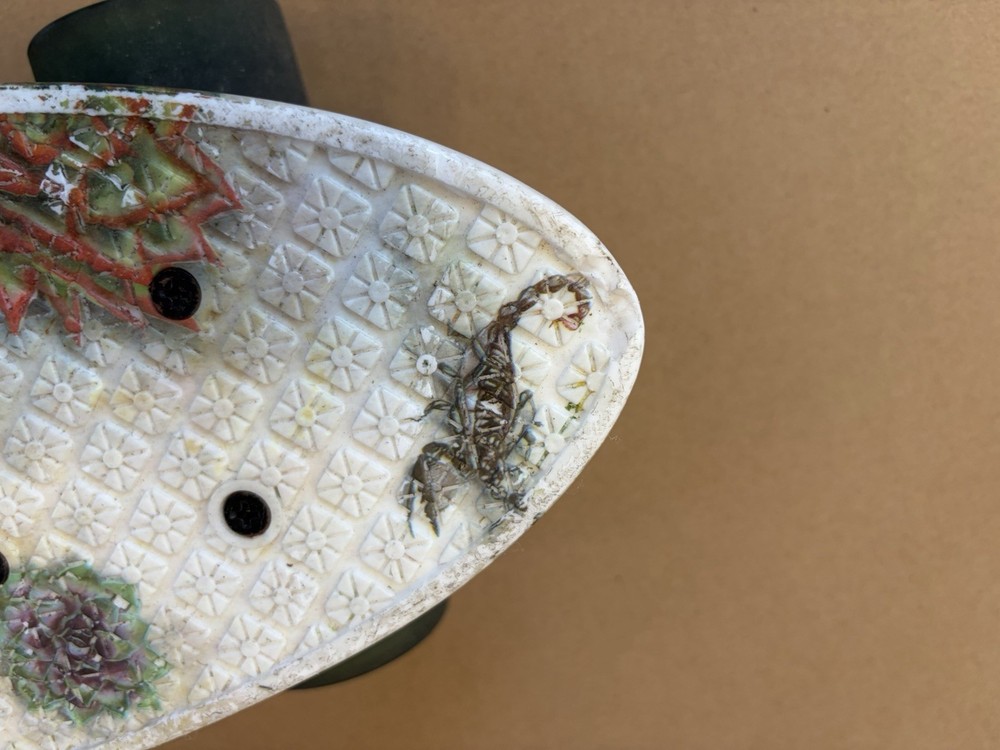 Globe Bantam Outback 23" Cruiser Skateboard Vintage