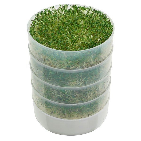 Kitchen Crop 4-Tray Seed Sprouter