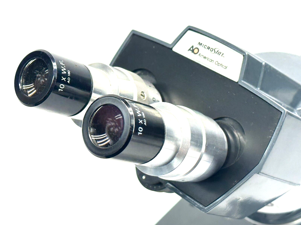 American Optical One Ten Microscope w/ Binocular Head