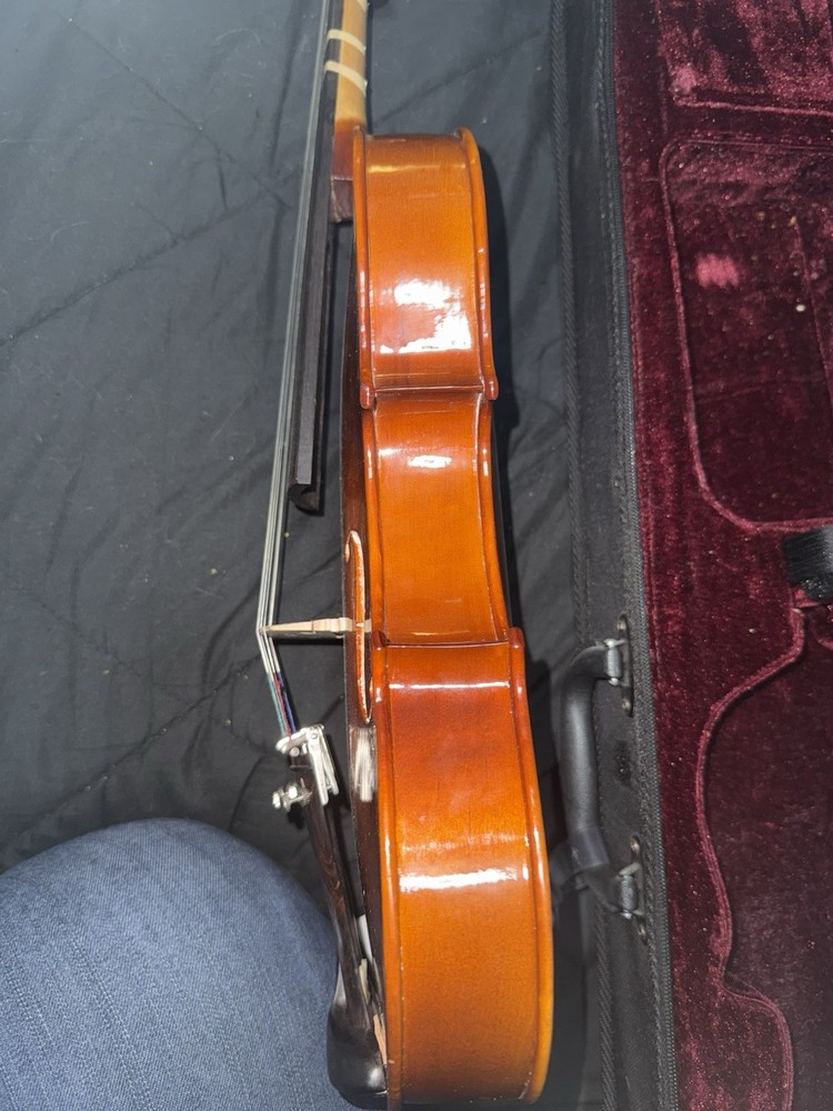 1038 14” Viola