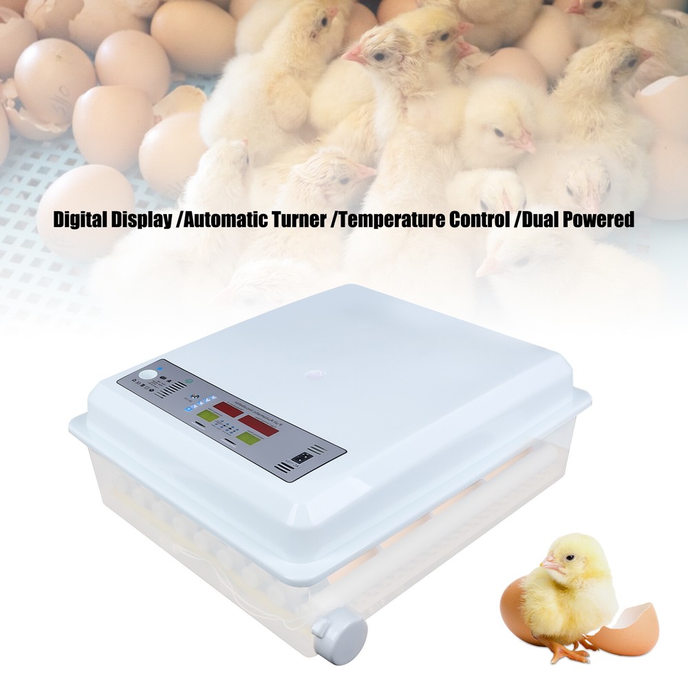 Egg Incubator 64 Eggs Fully Digital Automatic Hatcher Fit Hatching Chicken Farm