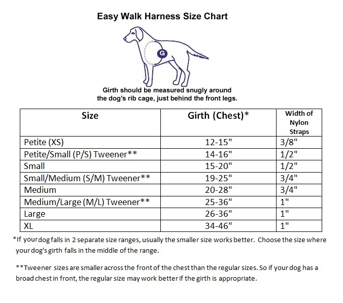 PetSafe Easy Walk Harness Small Teal/Gray