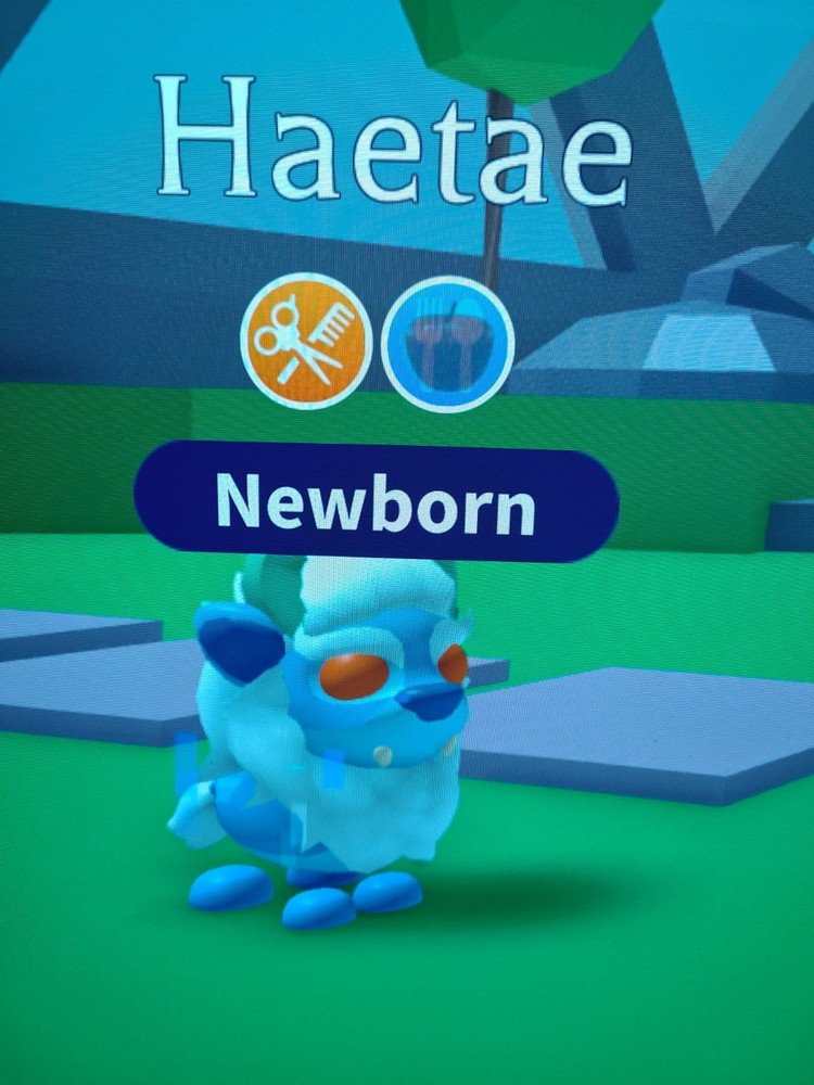Haetae Adoptable Pet Roblox Cheap