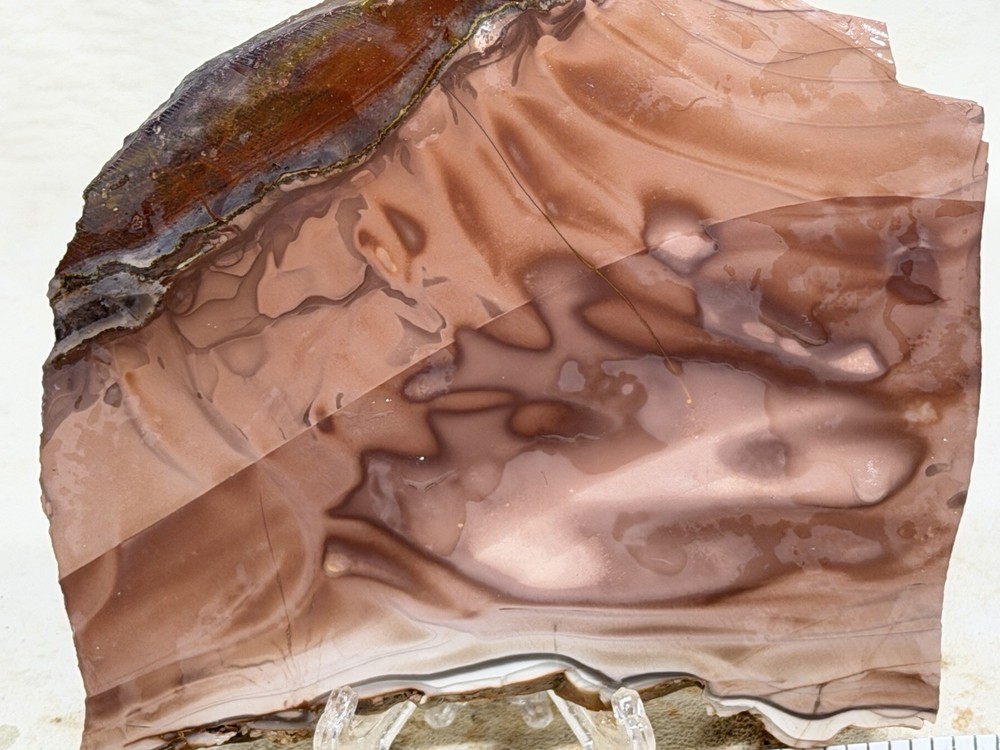 Willow Creek Jasper Slab, Lot #171