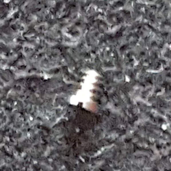 Omega Screw Part Number 2255