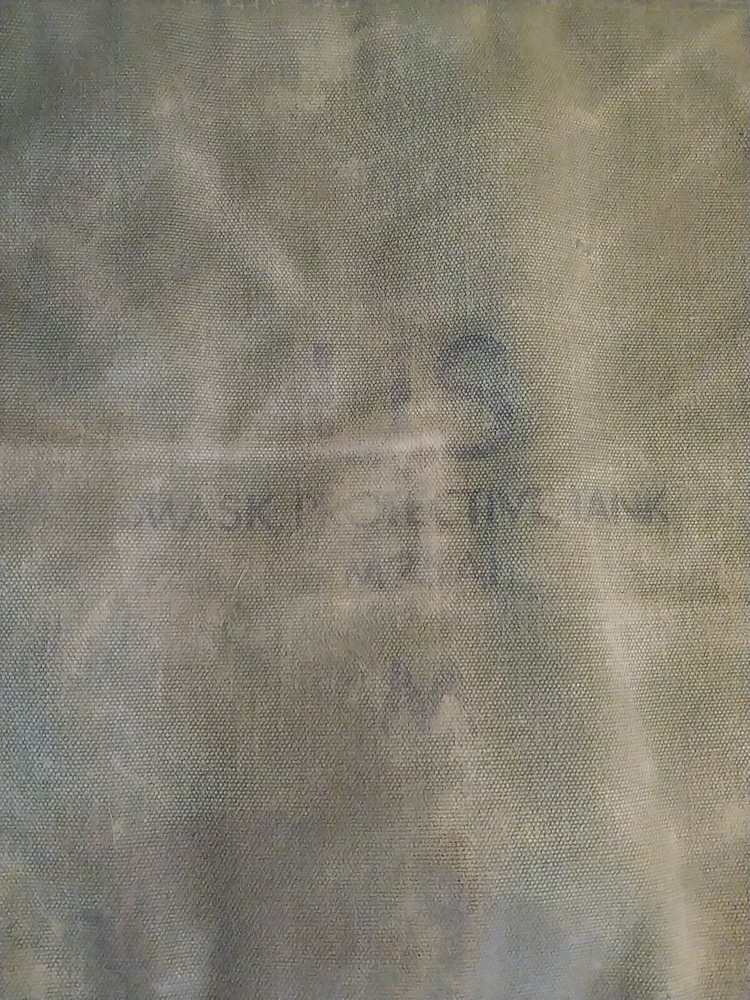 ORIGINAL US Army M9A1 Gas Mask Bag Only