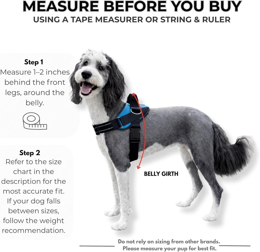 No-Pull Harness for Dogs - Adjustable, Reflective, Medium, Pacific Blue