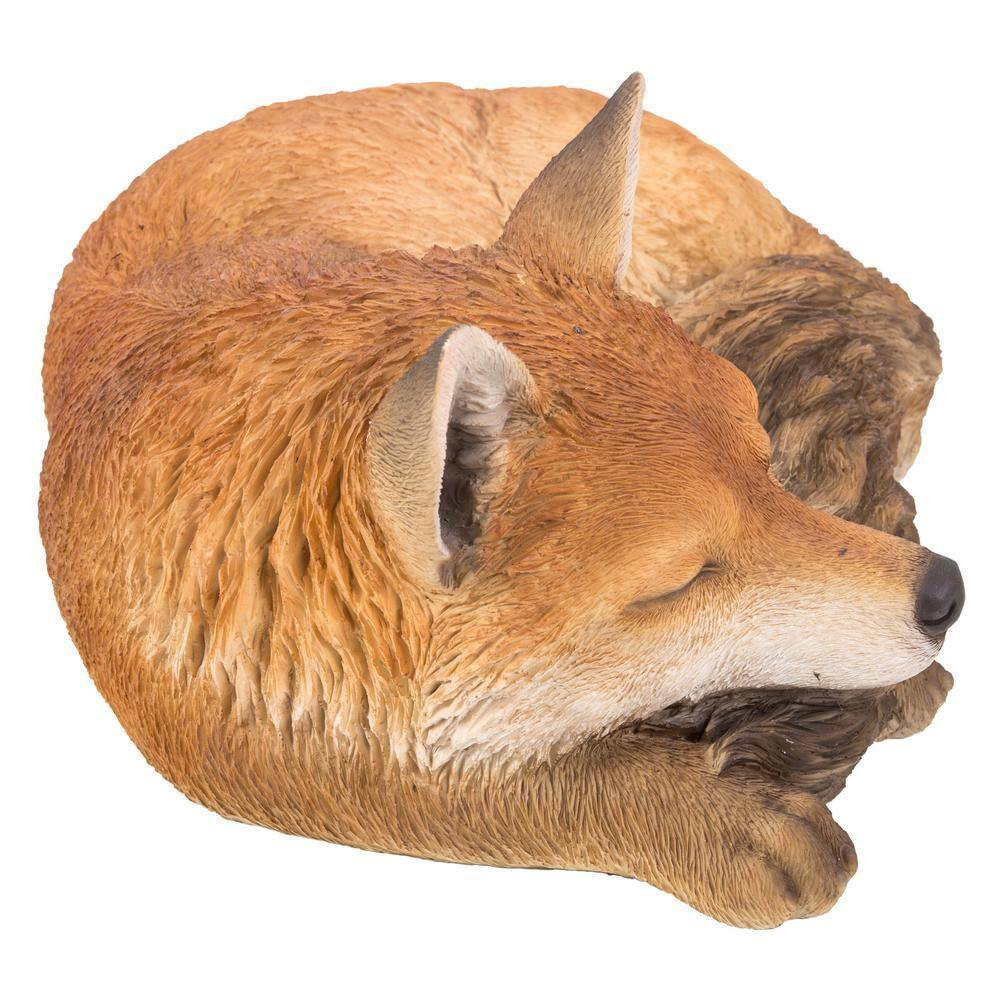 Fox Sleeping