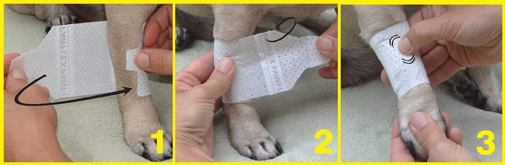 PawFlex Basic Pet Leg Bandages - Non-Adhesive, Adjustable, Non-Slip First Aid