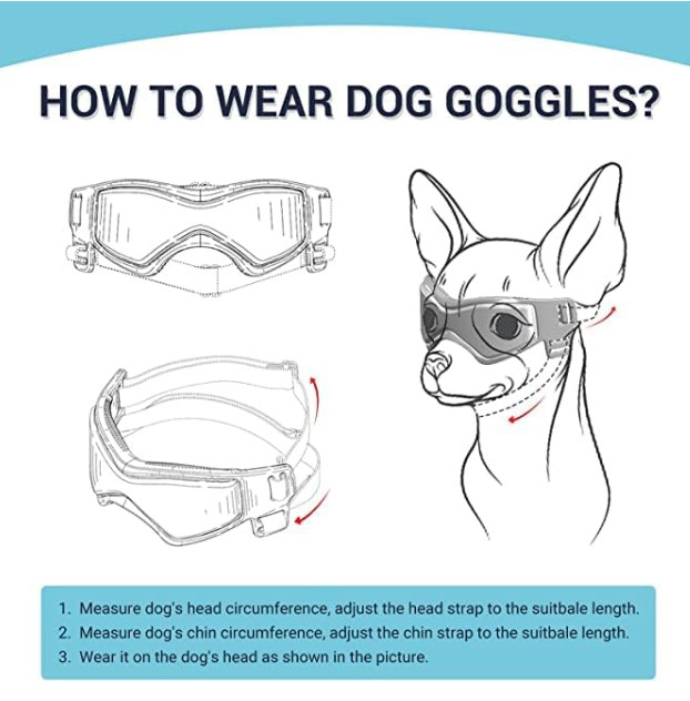 PLeso Dog Goggles Medium Breed, Dog Sunglasses, Size Medium