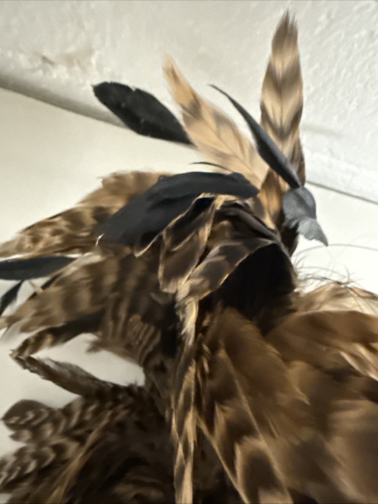 Real Feather Duster with Rope Hook and Wooden Handle