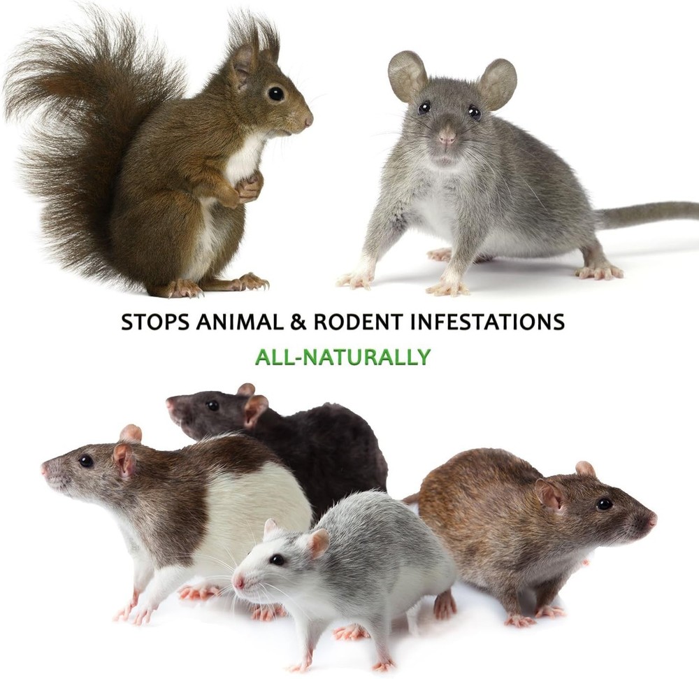 Engine & Vehicle Rodent Deterrent 128 Oz