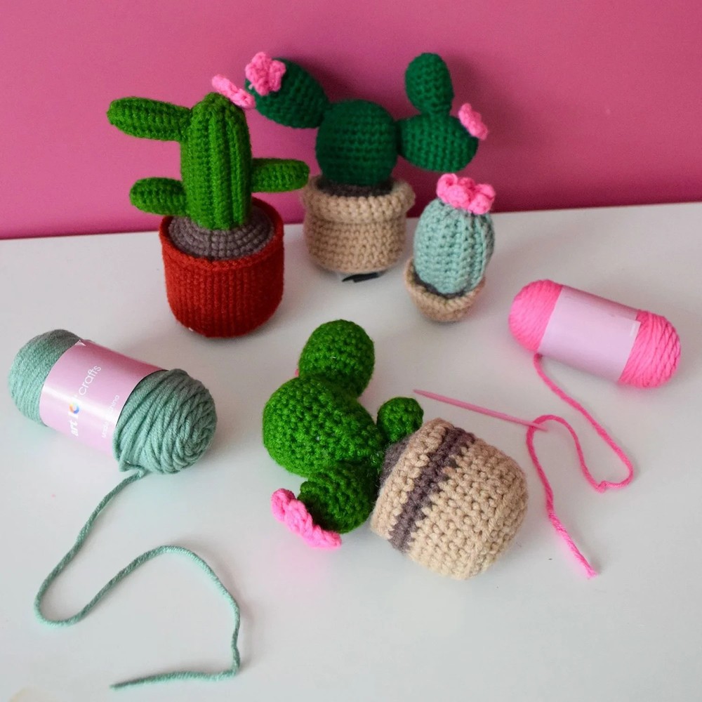 Art 101 Crafts Crochet Plants Kit