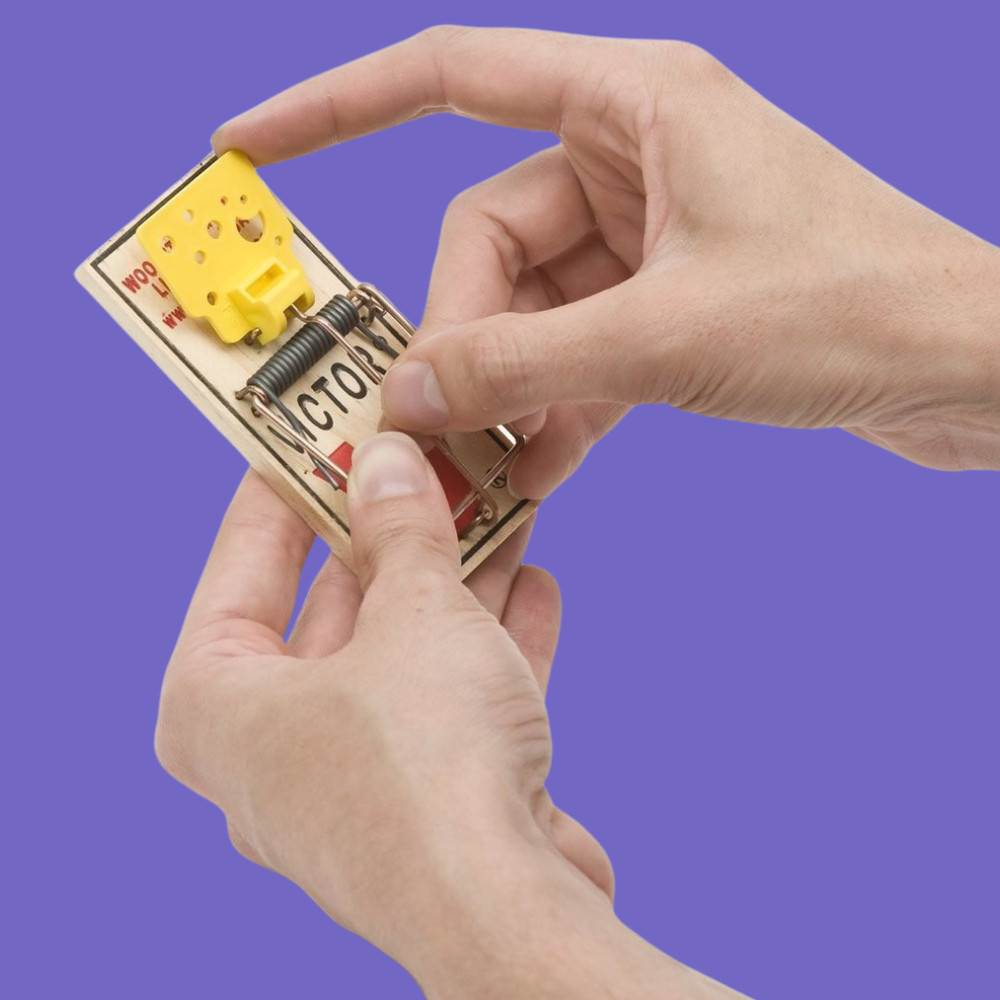 Easy Set Mouse Traps, 2-Pack ( 4 count )