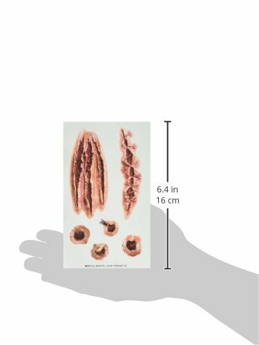 Fun World Temporary Wound Tattoos