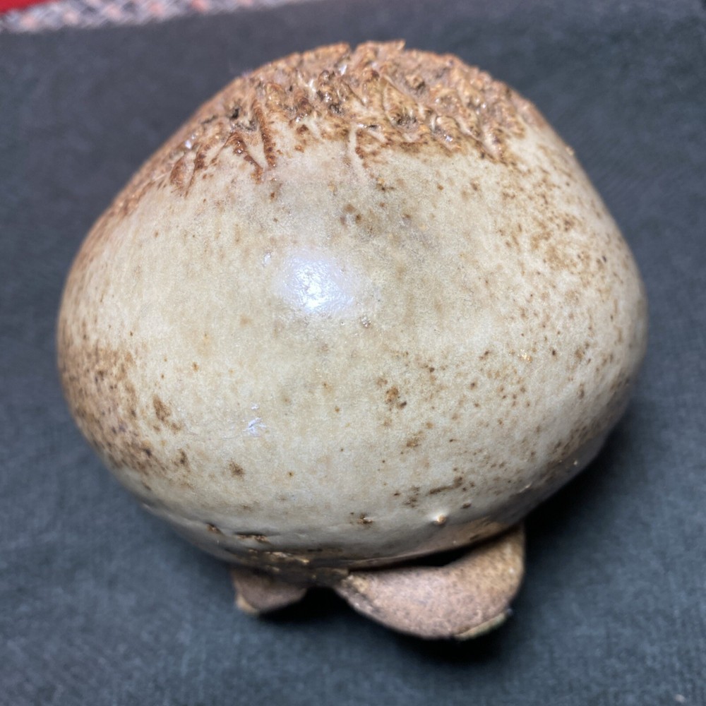 Incense Holder Unique Organic Hand-Formed Studio Pottery Signed