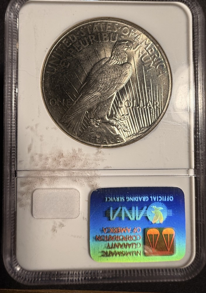 1925 Peace Silver Dollar, MS64 NGC (16960)