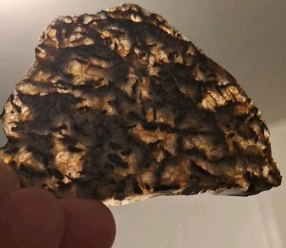 Moss Agate Slab Natural