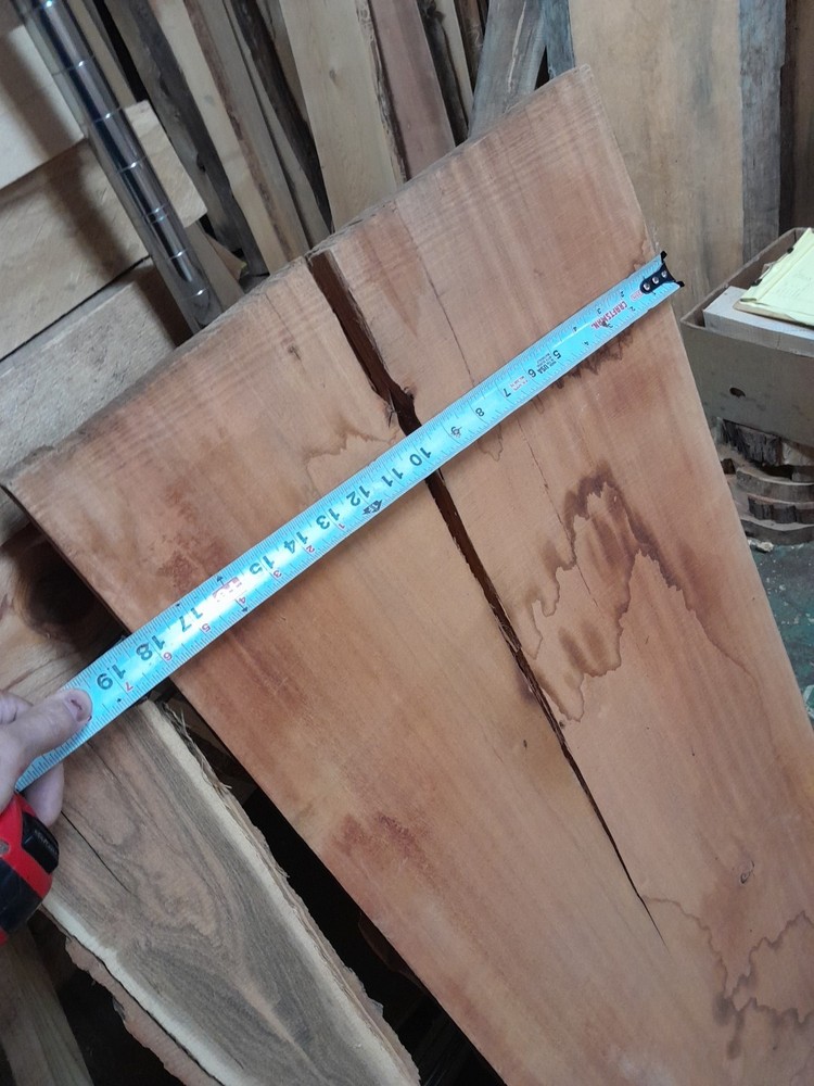 Palm Tree Live Edge Slab