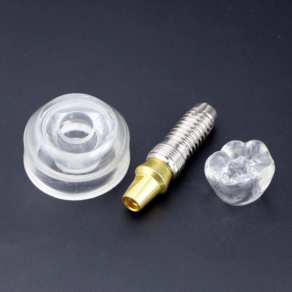 Implant Teeth Model Dental Typodont Ortho Pathological Perio Practice Demo Model