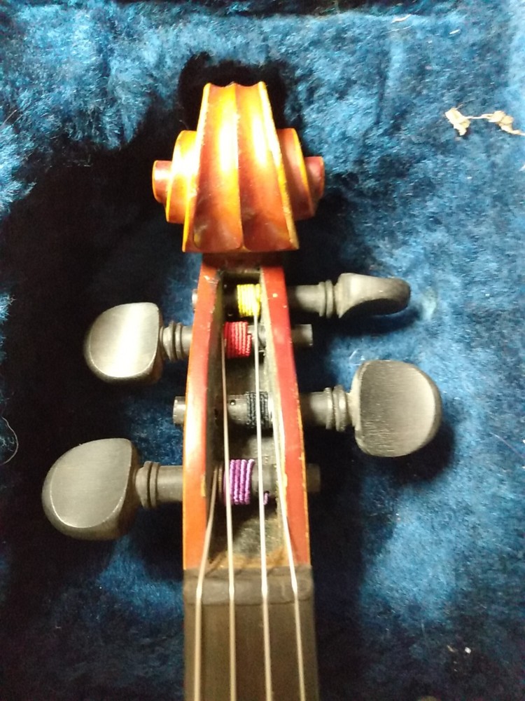 Beautiful Zeswitz Viola