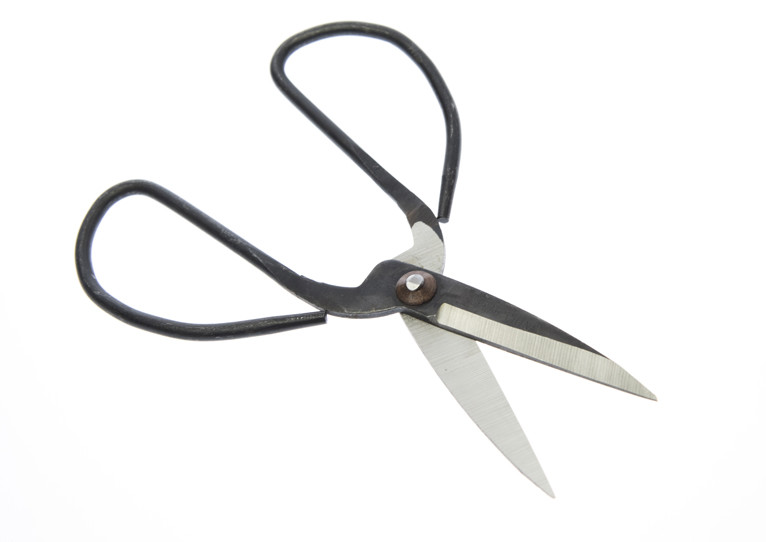 Big Hand 4, 6, 8" Bonsai Scissors, Multi Function *Famous Chinese Scissors*