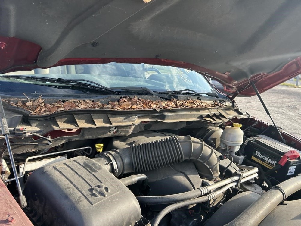 RAM1500 2012 Jack 104924803