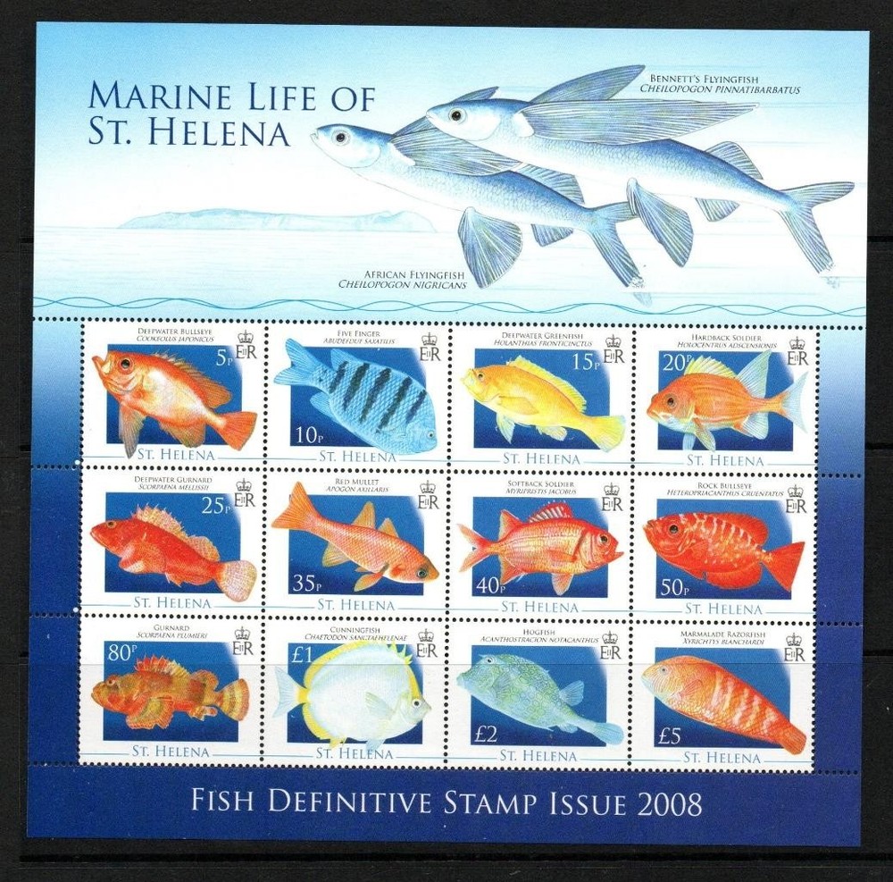 ST HELENA MNH 2008 MS1070 FISH