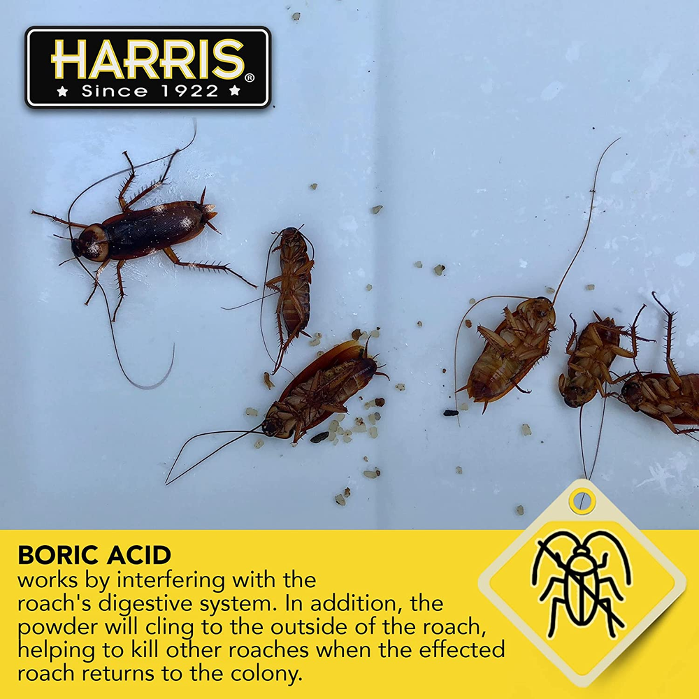 Roach and Silverfish Killer Powder with Boric & Lure, Kills Insect within 72 Hrs