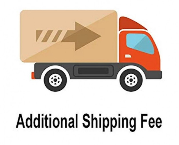 Additional shipping Fee for ishtadevatas（Fedex、DHL）