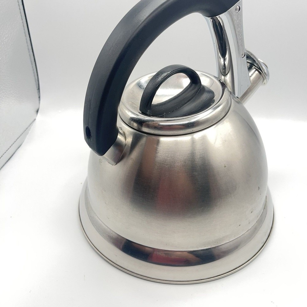Pykal Stainless Whistling Tea Kettle Designed In Germany