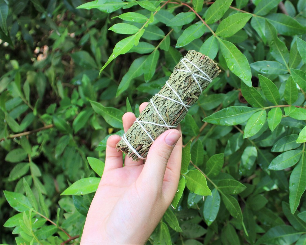 Cedar Sage Smudge: 3 Stick Value Pack! (Herb, House Cleansing Negativity Removal