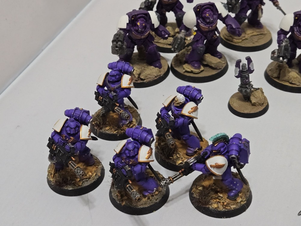 Space Marine Painted Army
