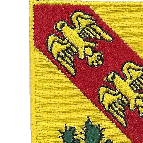 107th Armored Cavalry Regiment Patch