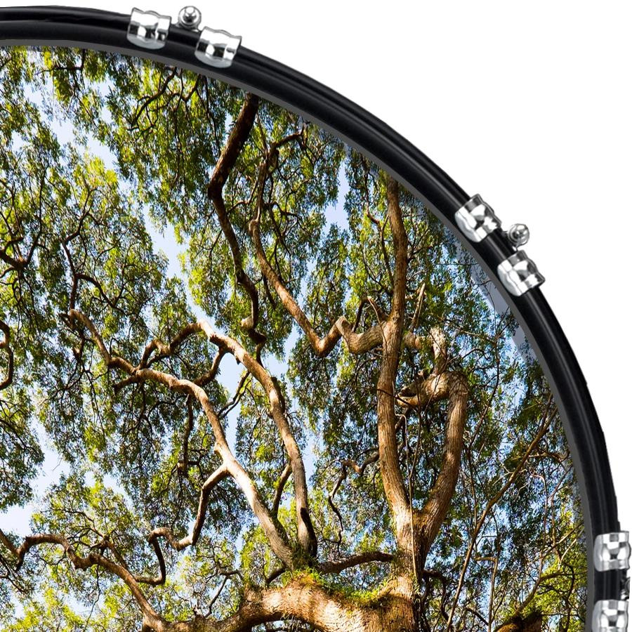 20" Custom Bass Kick Drum Front Head Graphic Graphical Tree Effect 1