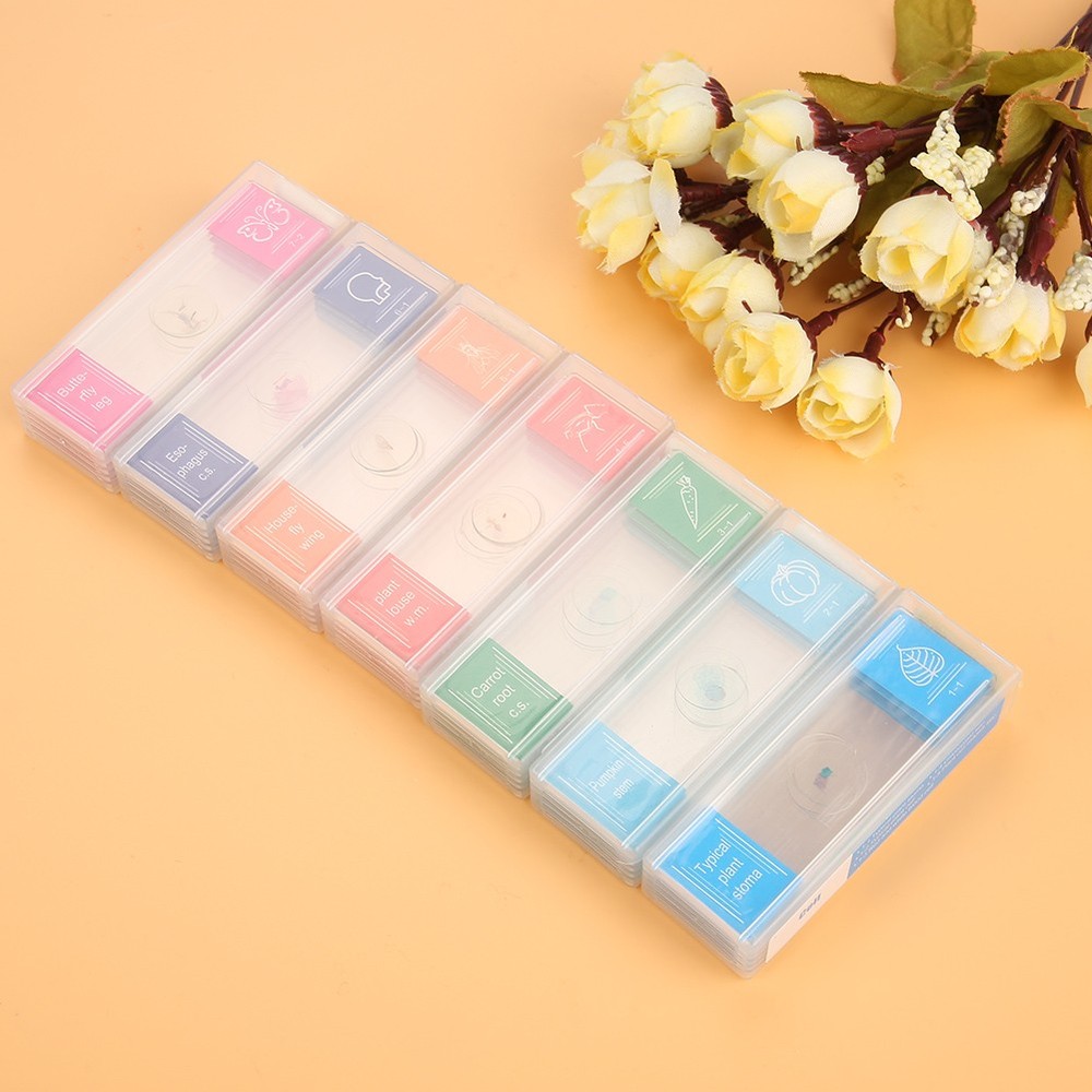35pcs Biology Glass Prepared Microscope Slides Lab Specimens Set