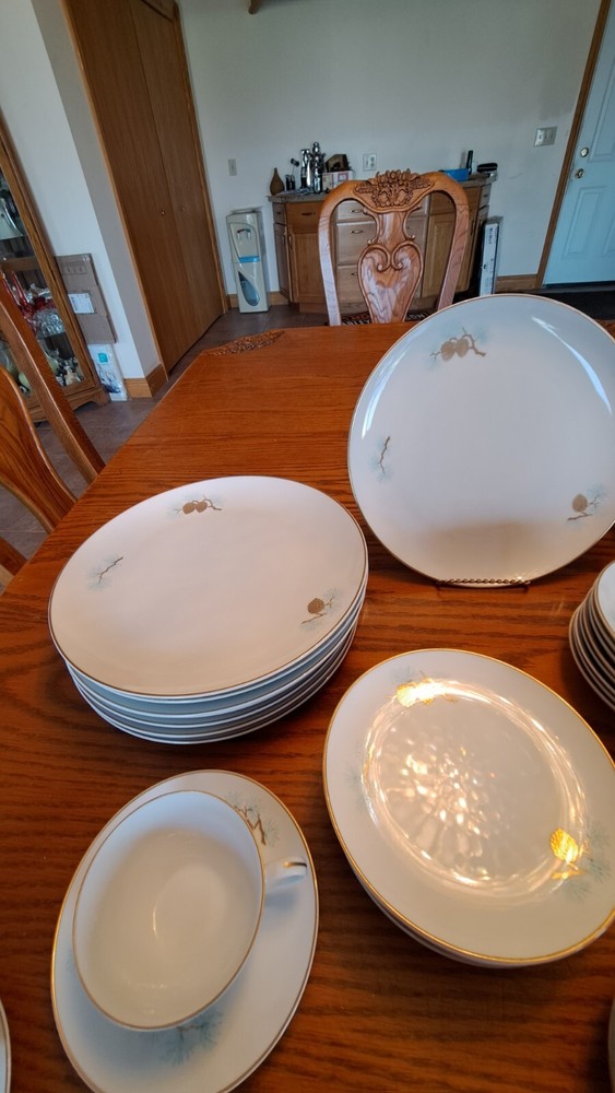 Fukagawa Arita Handpainted 41 Piece Grouping Dinnerware Pine Cone Pattern #904