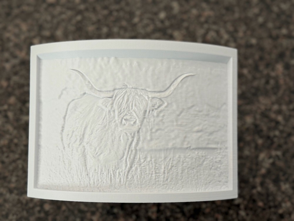 Lithophane 3D Printed LED Night Light- Custom and Personalized - F/S