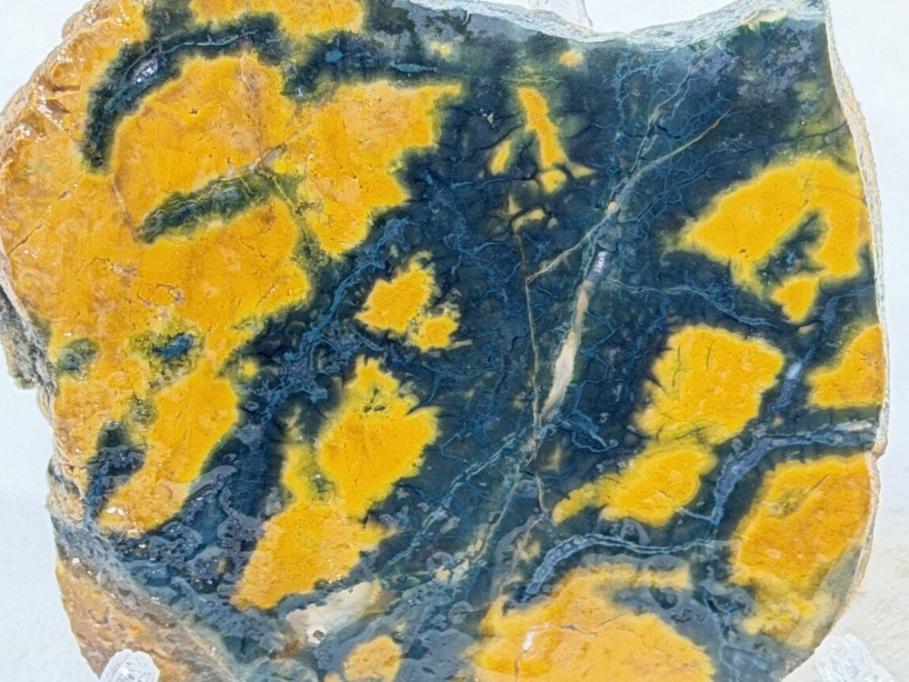 Brecciated Jasper Slab Set, Lot#356