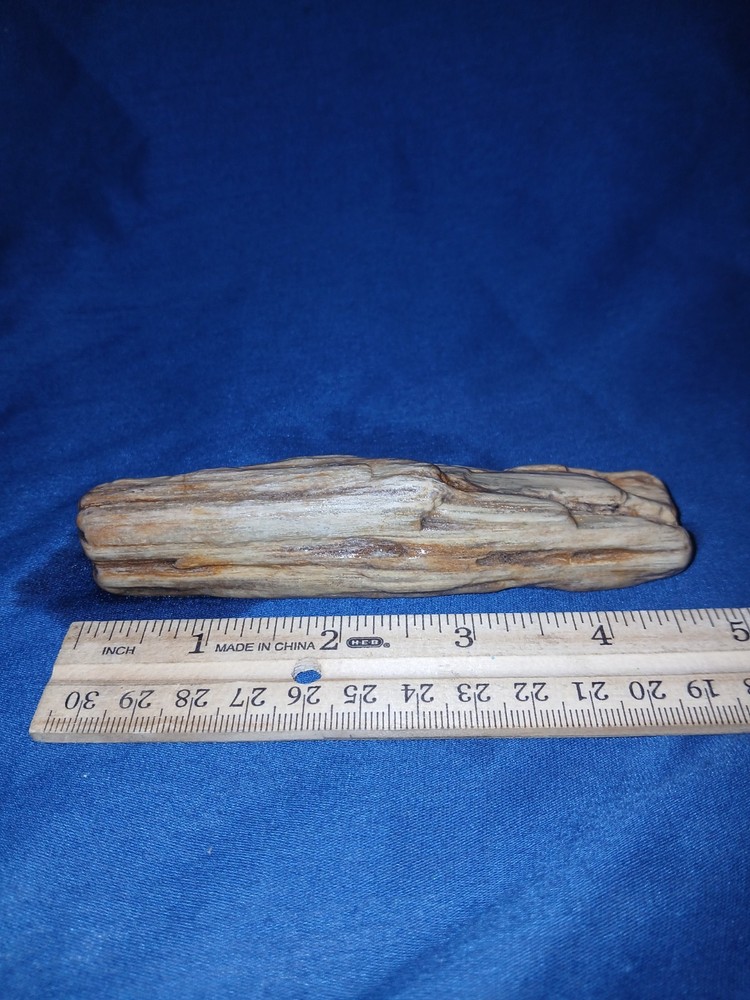 4.5 oz Petrified Wood