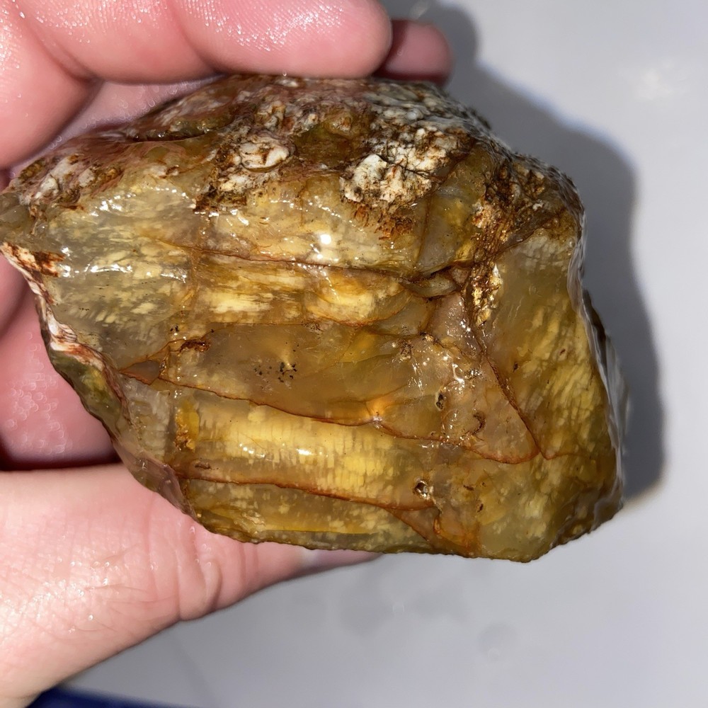 Cornflake Carnelian Unique Rough Lapidary Material 1 Pound 1.1 Oz