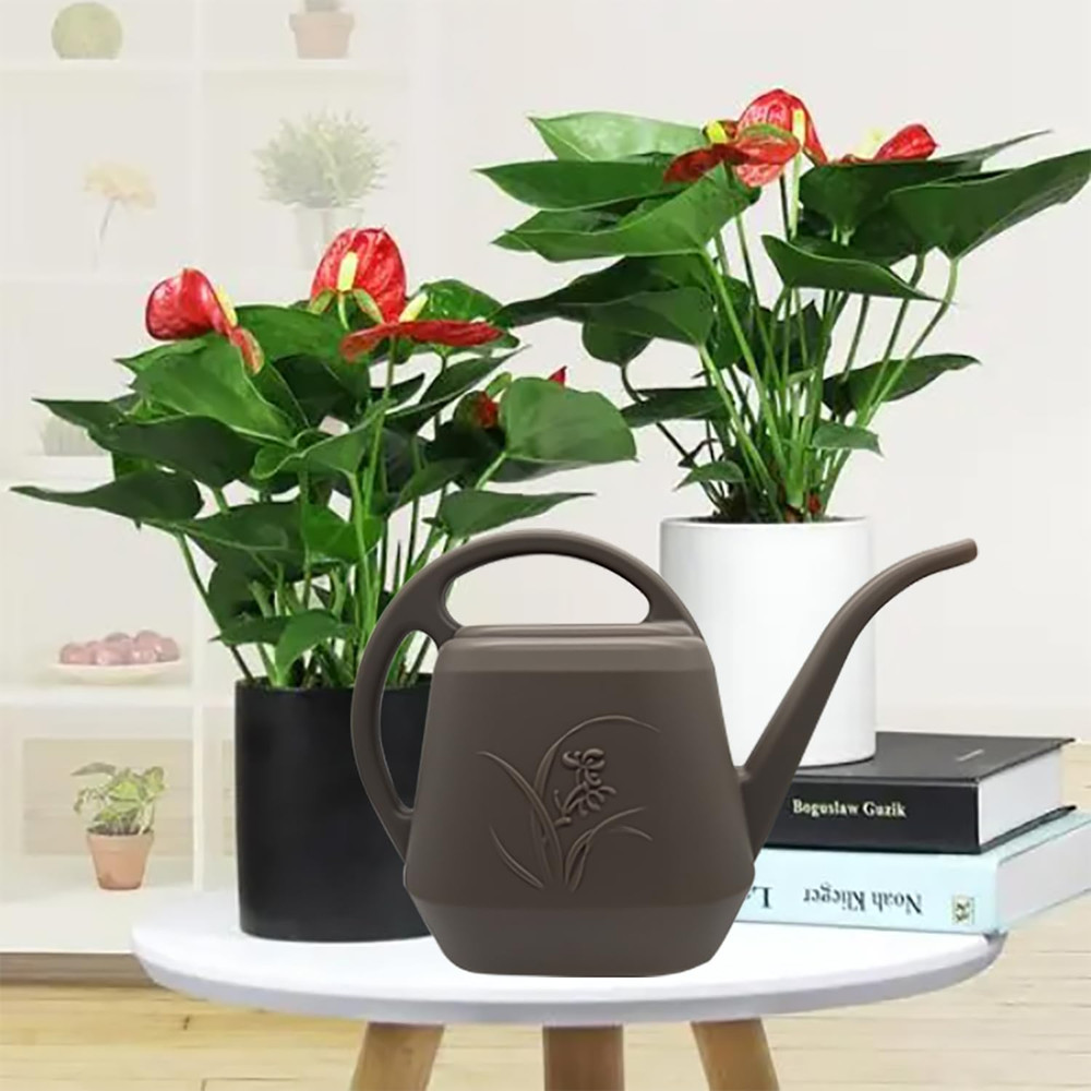 Plant Watering Can - 1/2 Gallon