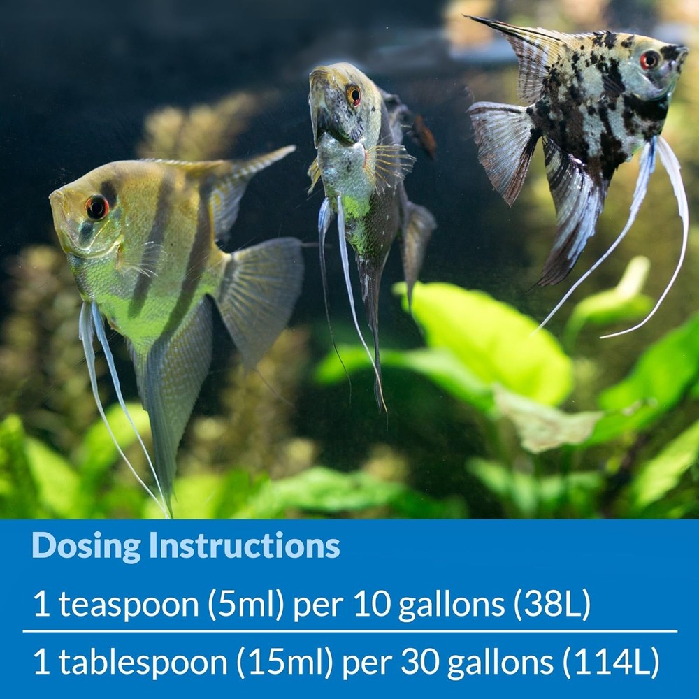 API Stress Coat Plus Pump Bottle 16 Ounces - 3 Pack