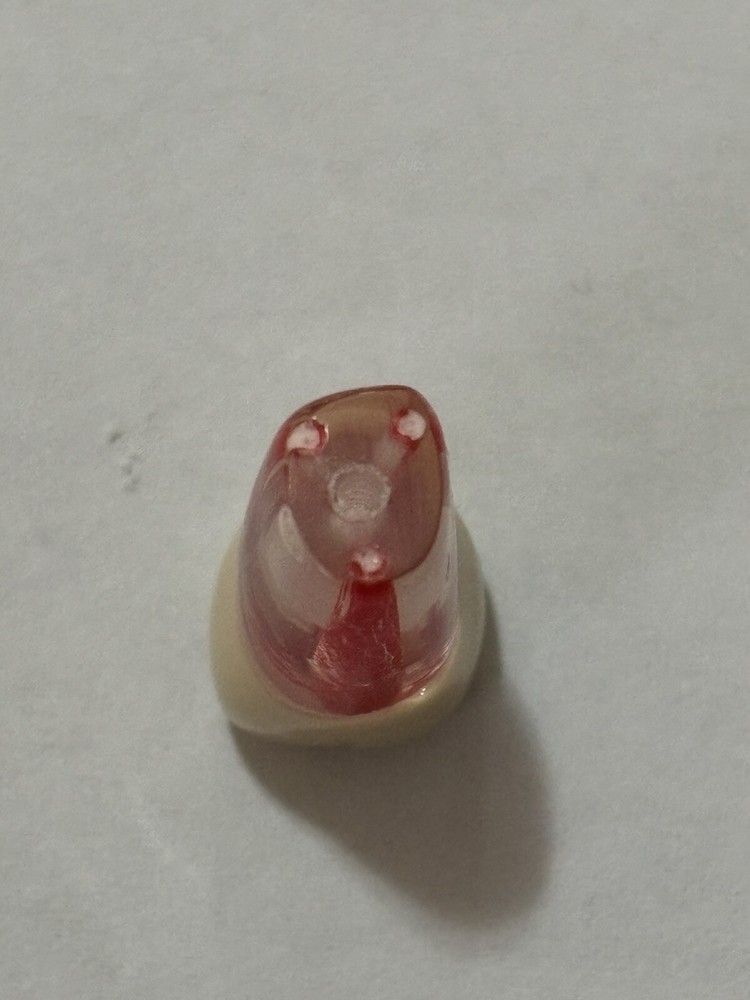 Endo Tooth #26 For ADC MODEL (3 Pack)
