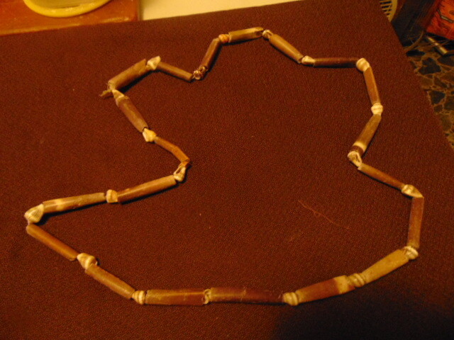 Shell String Necklace