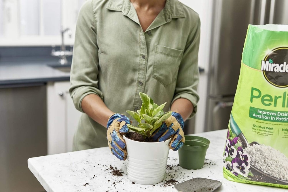 Miracle-Gro 8 qt. Perlite Soil