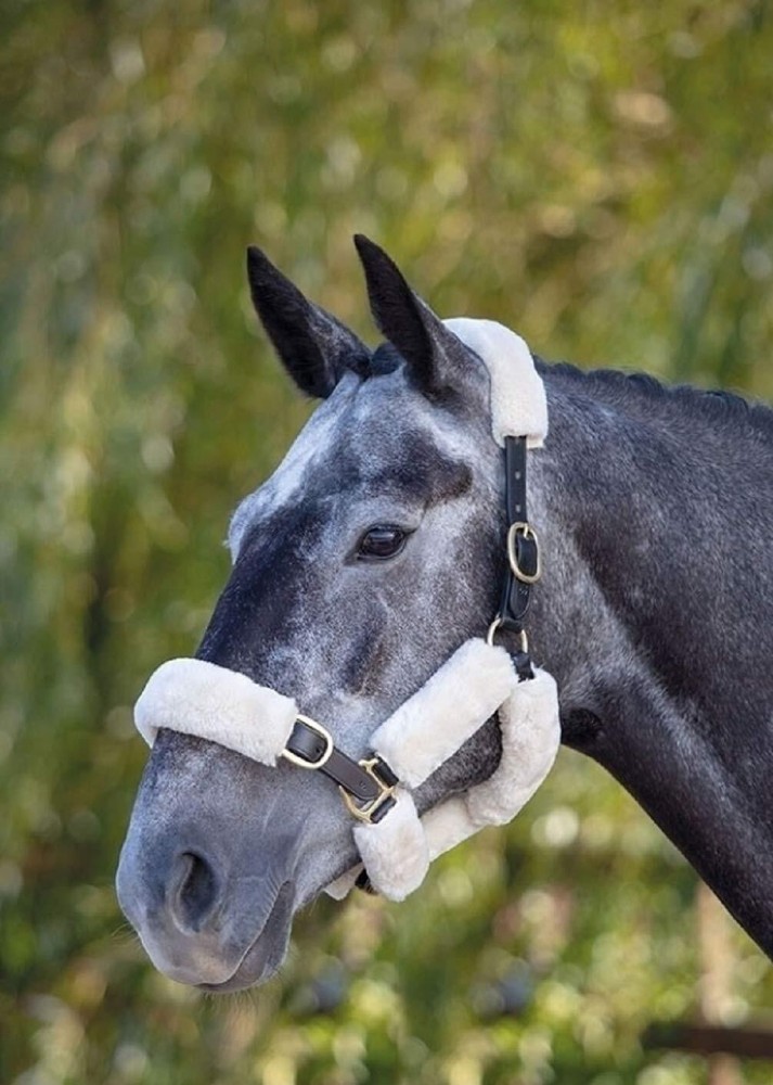 ARMA SupaFleece Halter Set WHITE